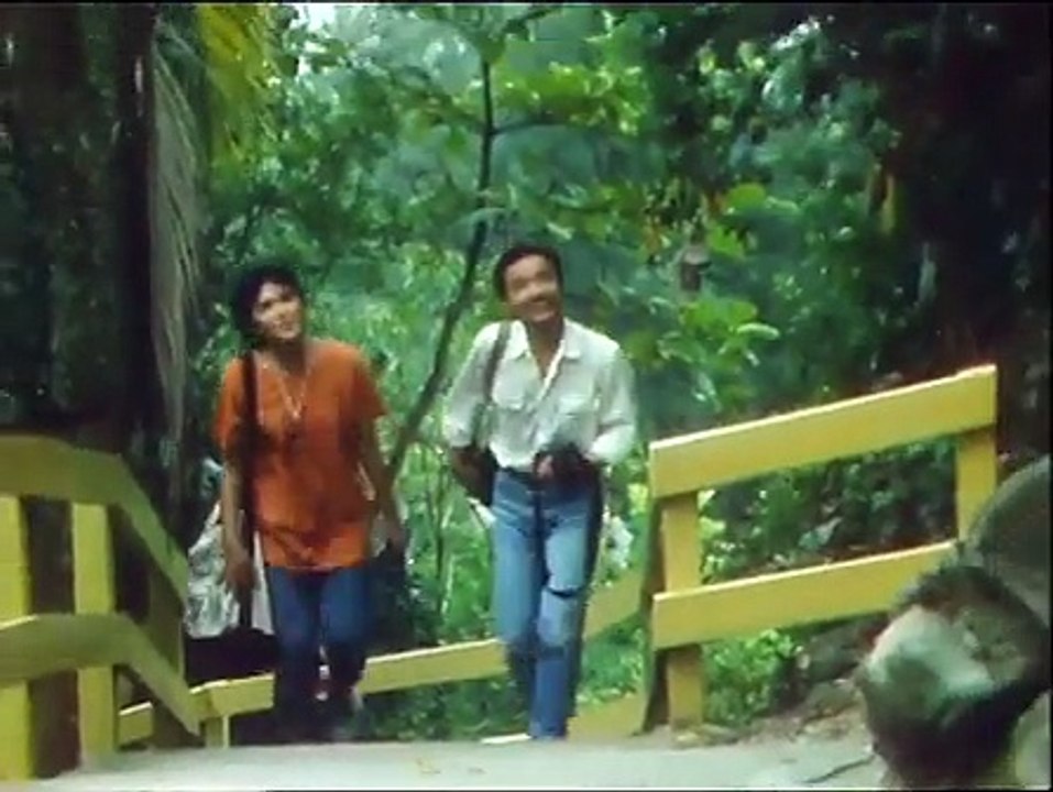 人在旅途 25