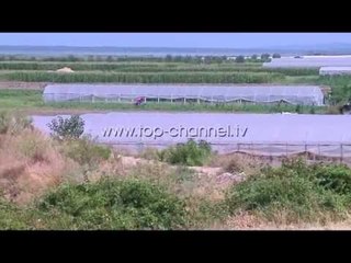 Ndryshon subvencioni i bujqësisë, tregtarët manipuluan faturat - Top Channel Albania - News - Lajme
