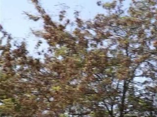 RAPORTI I RISHM GJOBITEN PER SHPERTHIMIN ACR DHE DREJTORI I MINIERES LAJM