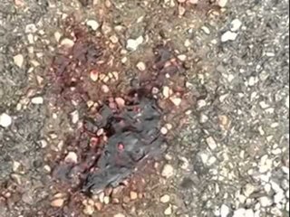 VRANE ITALIANIN PRANGA SHQIPTAREVE QE VRANE PER ÇESHTJE “NDERI” TREGTARIN LAJM