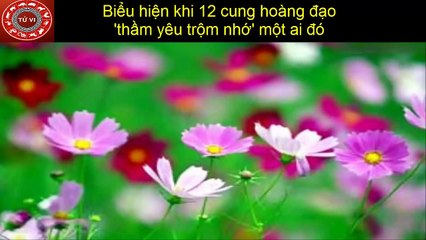 Bieu-hien-cua-12-cung-hoang-dao-khi-tham-yeu-trom-nho-mot-ai-do