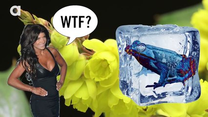 SKYLANDER BOY and GIRL take the ICE BUCKET CHALLENGE! w/ Lightcore Chase & Mom (Nominates. Animals World