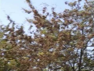 SHKAQET E SHPERTHIMIT RISHM DREJT MBYLLJES SE HETIMIT PER BULQIZEN LAJM