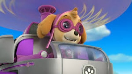 Paw Patrol Hd Full Episodes - Pups Save a School Day