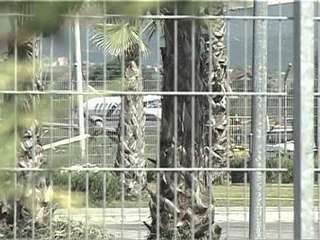 I HIQET E DREJTA “ALBANIAN AIRLINES” HUMBET ÇERTIFIKATEN E FLUTURIMIT LAJM