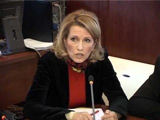 BUXHETI NE KOMISIONE PERPLASJE NE KOMISIONIN E EKONOMISE PER BUXHETIN 2012 LAJM