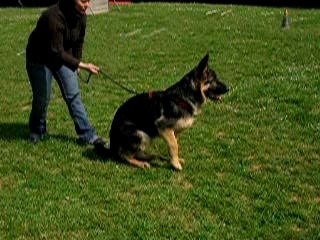 Balto