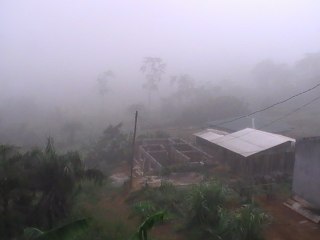 Hachchâchi (fumeurs d'hashish-XIII ème siècle =assassins 1560)