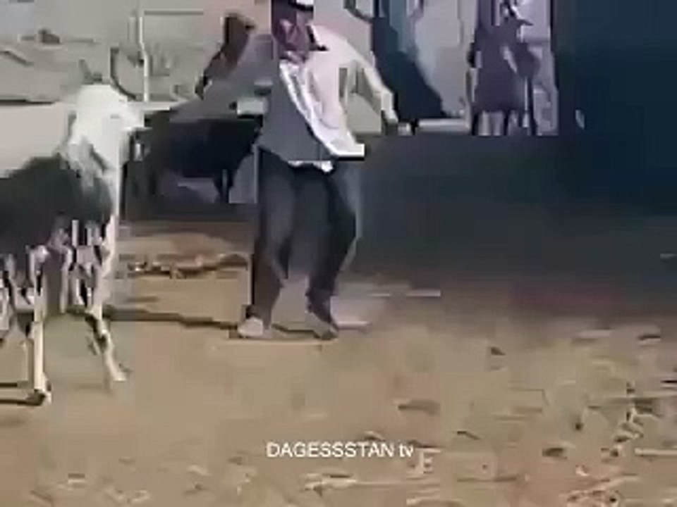 не злите баранов