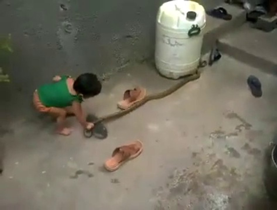 child play with     snake