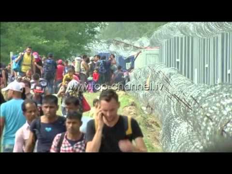 Refugjatë sirianë në Shqipëri? - Top Channel Albania - News - Lajme