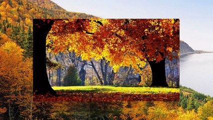 До свидания ОCЕНЬ 2