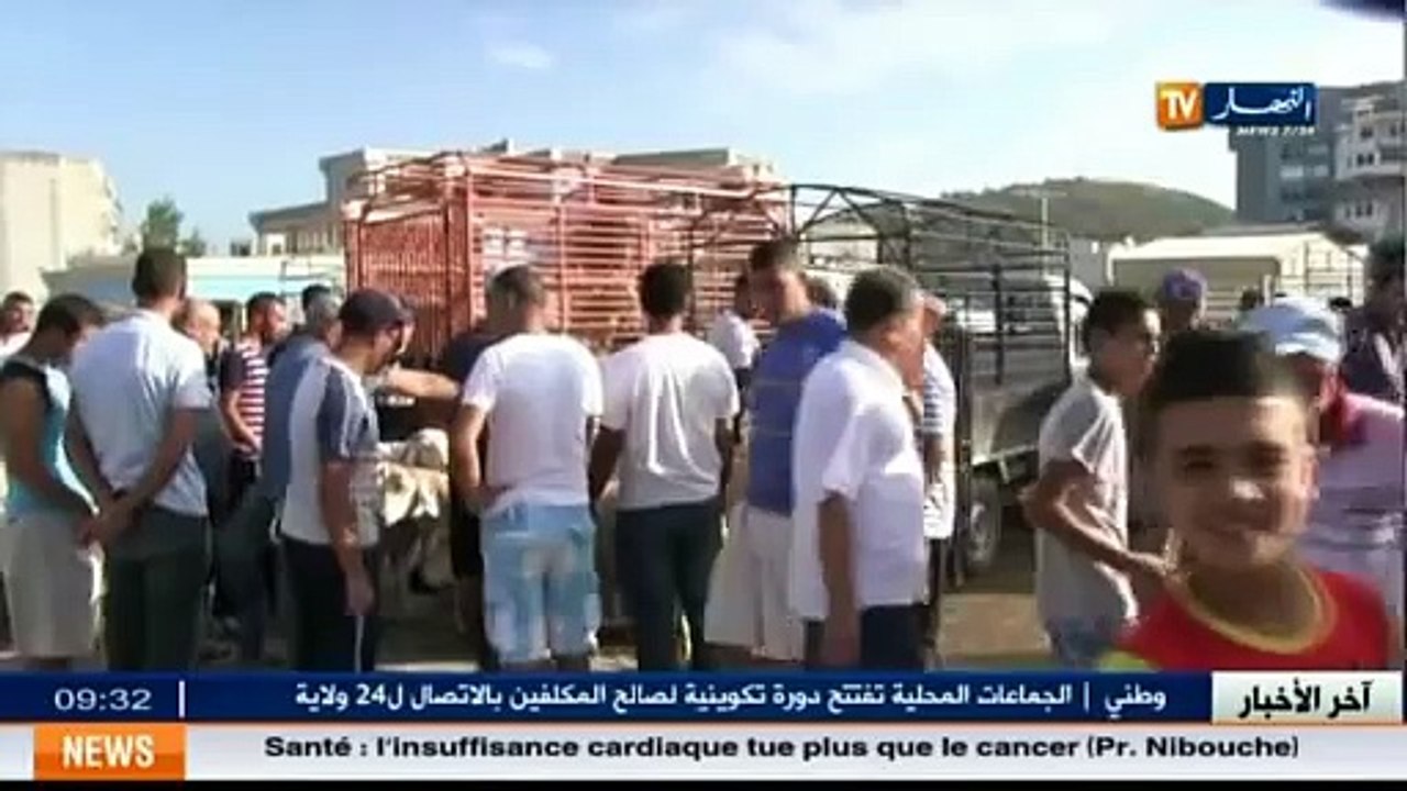 Aïd El-Adha  Flambée des prix des moutons à sacrifier dans les marchés d Annaba