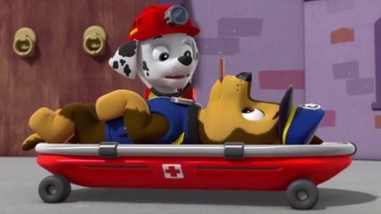 Paw Patrol Full Episodes - Paw Patrol Cartoon Nick JR English Game Movie