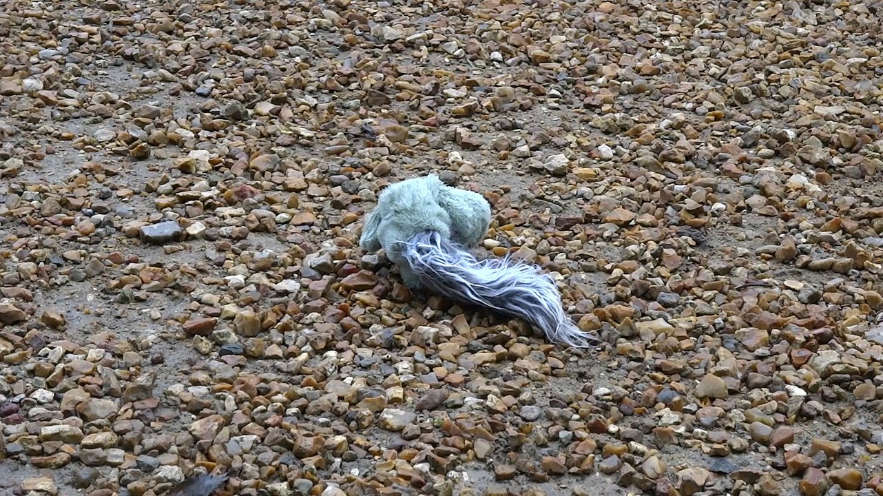 Helwen la petite chienne & l'écureuil en peluche