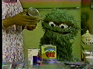Classic Sesame Street Oscar The Houseguest