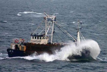 Najveća ajkula ikada uhvaćena blizu Australije