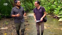Costa Rica: Investing in the Rainforest | Global 3000
