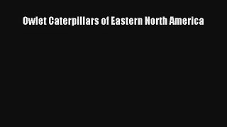[PDF Download] Owlet Caterpillars of Eastern North America [Download] Full Ebook