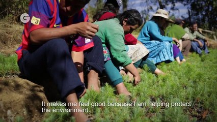Fairtrade Climate Heroes in Peru