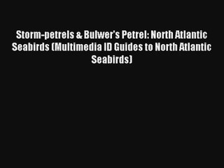Storm-petrels & Bulwer's Petrel: North Atlantic Seabirds (Multimedia ID Guides to North Atlantic