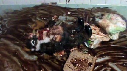 How To Change Your Newborns Nappy | Mothercare Baby Advice