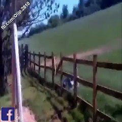 I can't Stop Watching & Laughing Pacman Emoticon