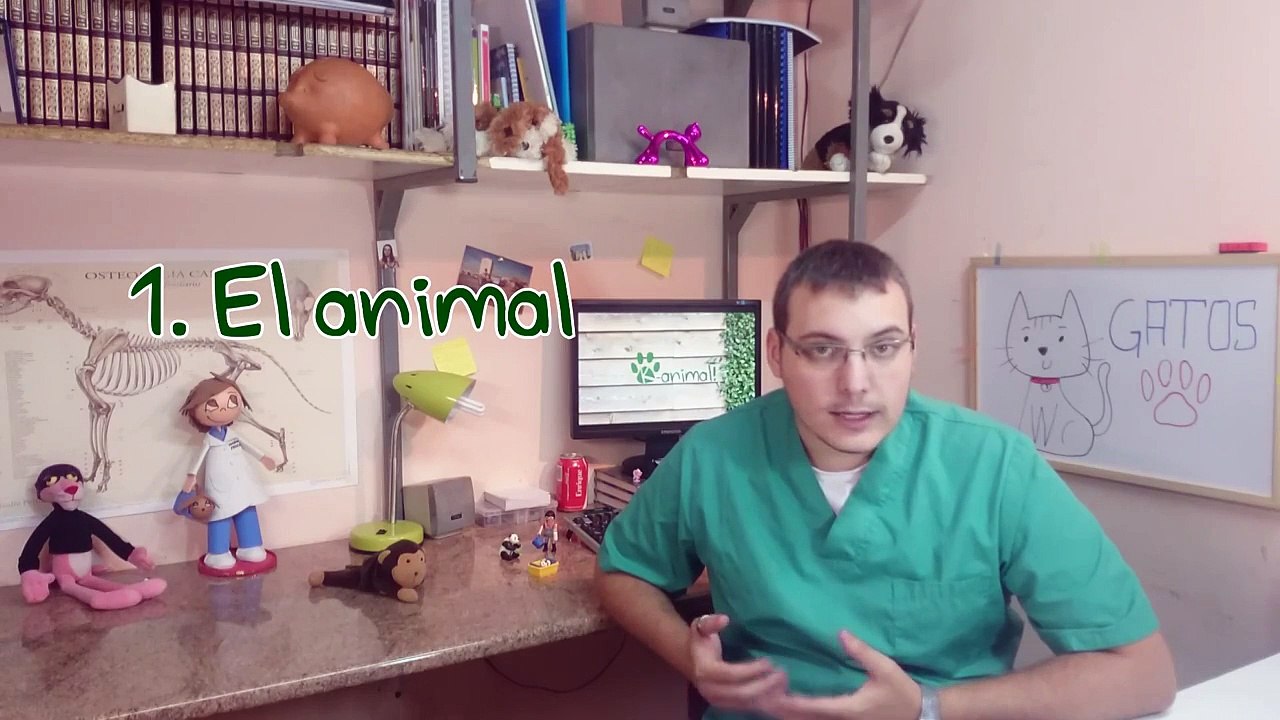 PERROS│Cómo afrontar la visita al veterinario