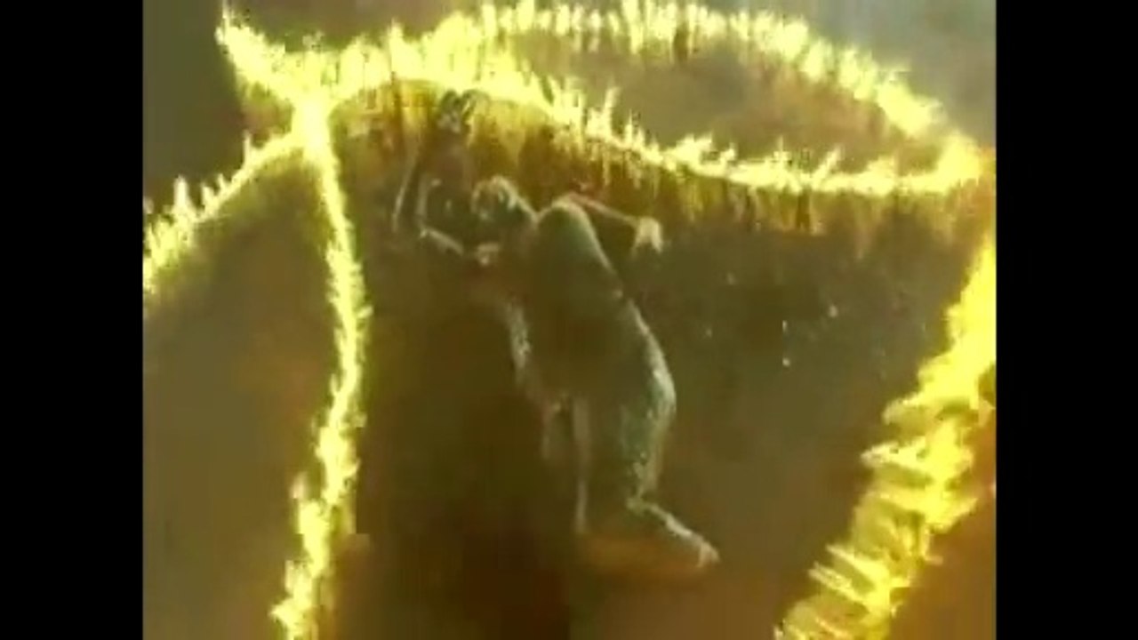 COP21 - La terre - Zaz chante pour la planète en duo avec Mister Franck Lécole