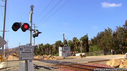 Amtrak Trains (featuring P42DC #113) in Laguna Niguel, CA (May 25th, 2013)