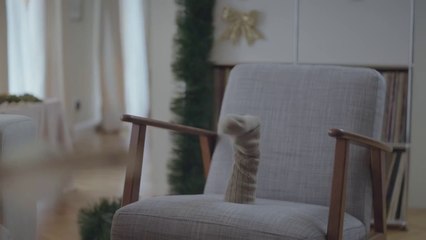 Dojo pour Ideecadeau.fr - «Personne n'aime les chaussettes:le sapin» - décembre 2015