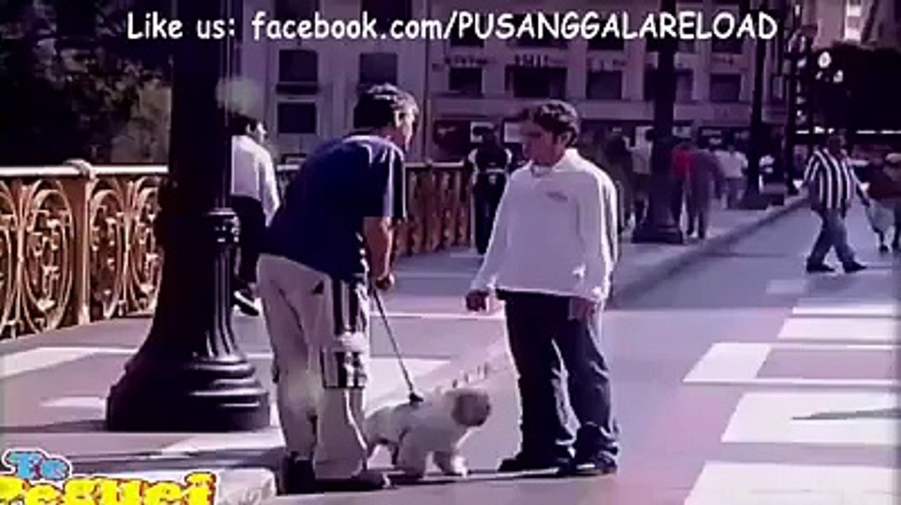 dog changer to man .... funny frank
