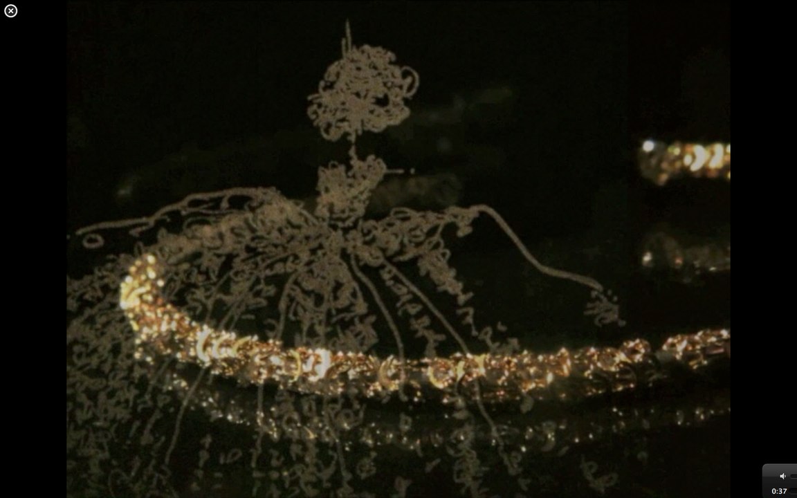 hors-série - exposition - AnnaO & Axelle Emden