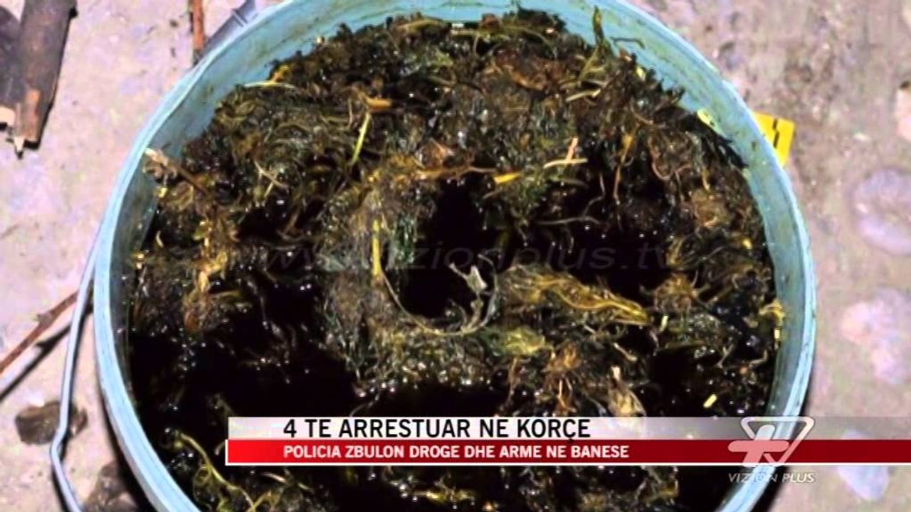 Policia zbulon drogë dhe armë në Korçë - News, Lajme - Vizion Plus