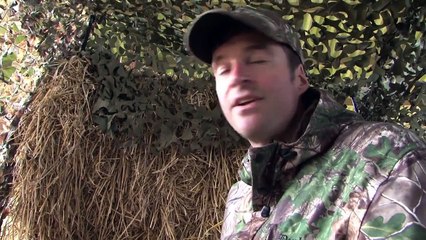 The Airgun Show – hide building, jackdaws and pigeons PLUS the Webley VMX D Ram