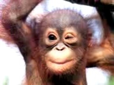 Bon anniversaire de gros bisous ❤