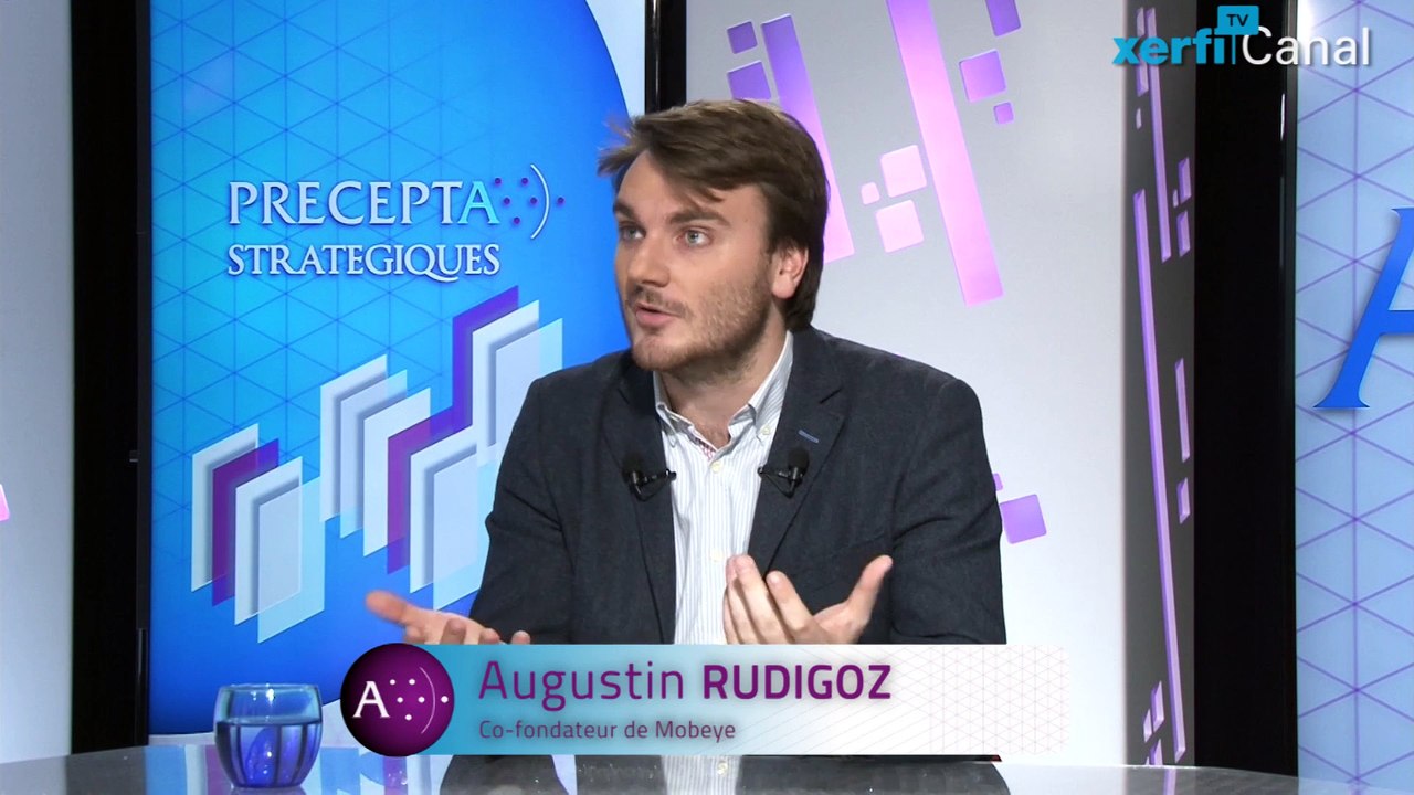 A.Rudigoz, Xerfi Canal Utiliser l'intelligence collective : le crowdsourcing pour la grande [...]