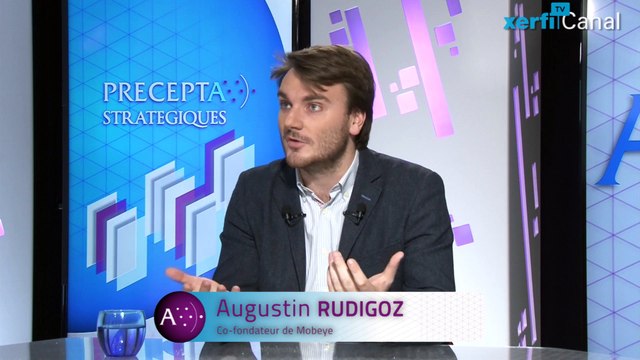 A.Rudigoz, Xerfi Canal Utiliser l'intelligence collective : le crowdsourcing pour la grande [...]