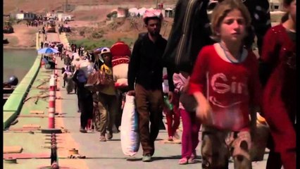 SEPARATISTET URDHEROJNE LARGIMIN NGA LUHANSKU TE ORGANIZATAVE HUMANITARE LAJM