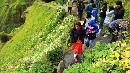 Making of Gerua _ Kajol, Shah Rukh Khan _ Dilwale _ A Rohit Shetty Film