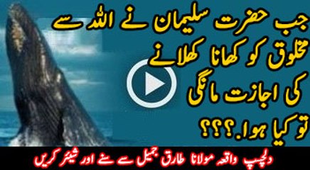 Jab Hazrat Sulaiman Ne Makhlooq Ko Khana Khelanay Ki Ijazat Mangi By Maulana Tariq Jameel