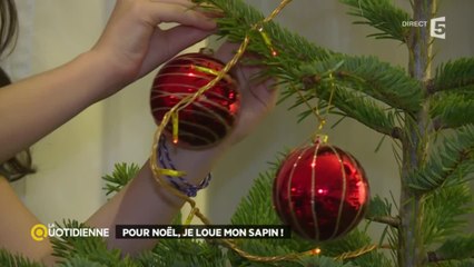 Pour Noël, je loue mon sapin !