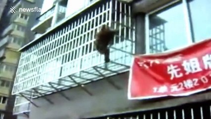 Runaway monkey scales apartment building in China