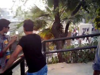 Visit In Lahore Zoo