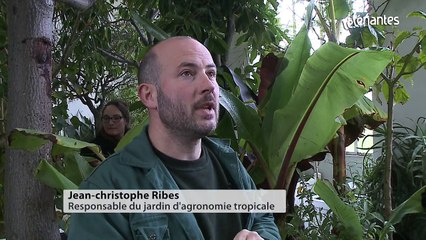 Parc du Grand Blottereau : visite guidée de l'orangerie