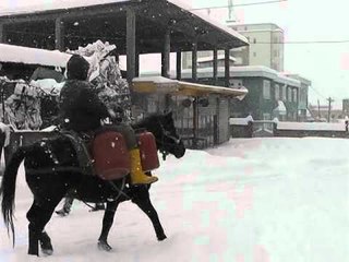 PUSHTETI I DEBORES JAVA E TRETE E GJENDJES SE RENDE PER SHKAK TE MOTIT LAJM