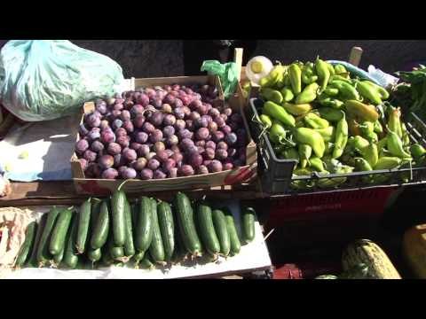 VENDIMI QE NDALON FERMERET TE SHESIN VETE MALLIN