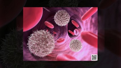 What Are The Other Harmful Effect Of Insomnia