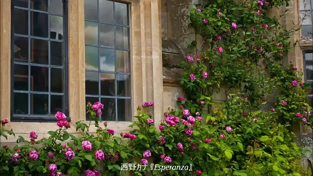 西野カナ - esperanza