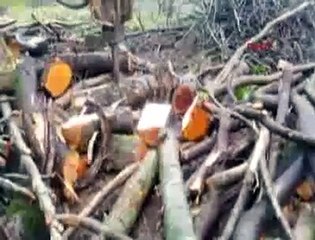 Kışlık odunlarını böyle parçaladı